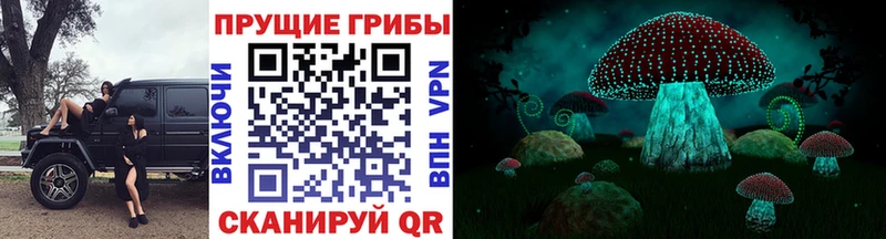 блэк спрут tor  Заречный  Псилоцибиновые грибы Psilocybine cubensis 