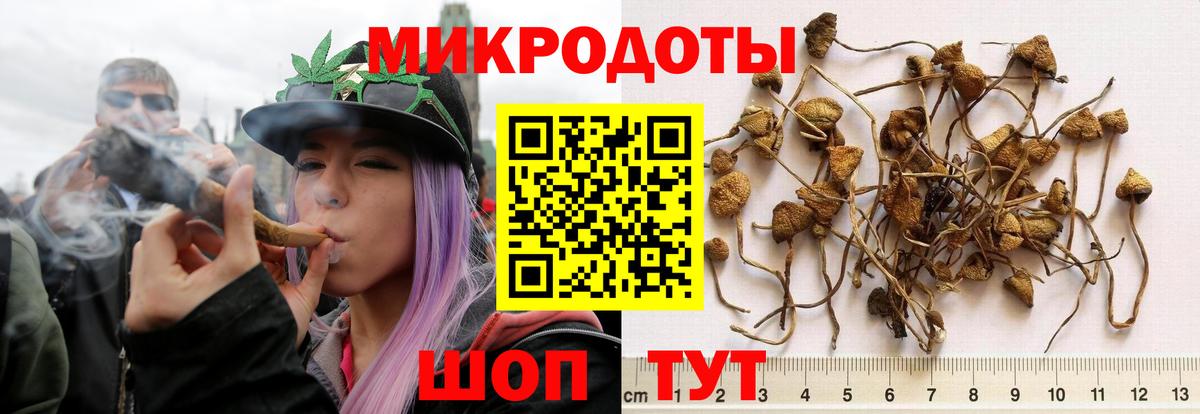 Псилоцибиновые грибы MAGIC MUSHROOMS Заречный